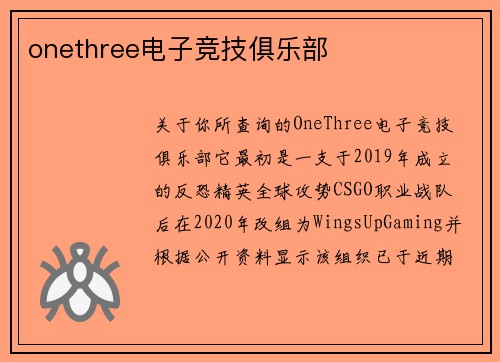 onethree电子竞技俱乐部